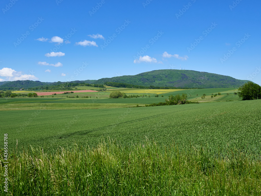 green field with blue sky