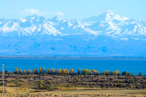 Fototapeta Naklejka Na Ścianę i Meble -  Issyk Kul Lake in Kyrgyzstan surronded by Northern Tian Shan mountains in fall season. Kyrgyz alpine lake in National Park with snow capped mountain.