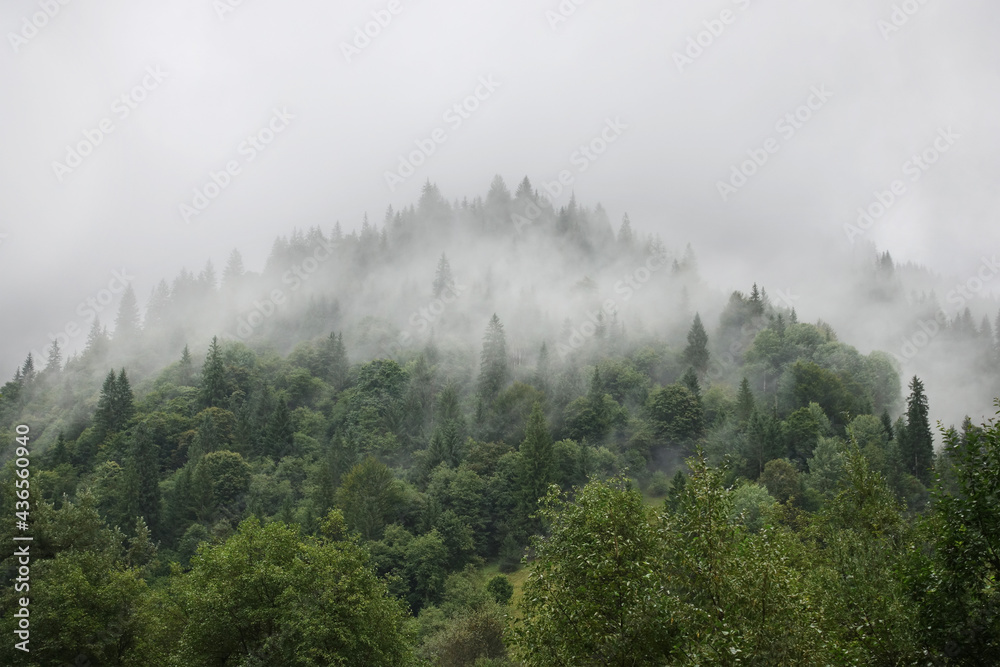 Mountains with forests Mountains with forests