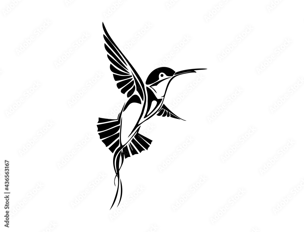 Obraz premium hummingbird vector logo design, animal icon