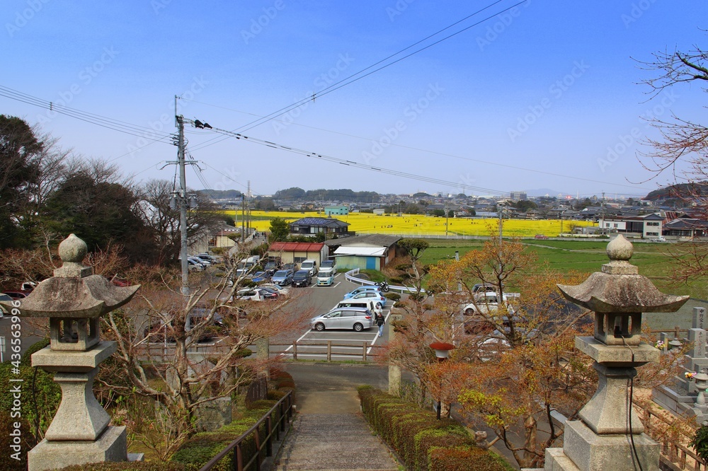 医王寺から見た古賀市筵内菜の花公園