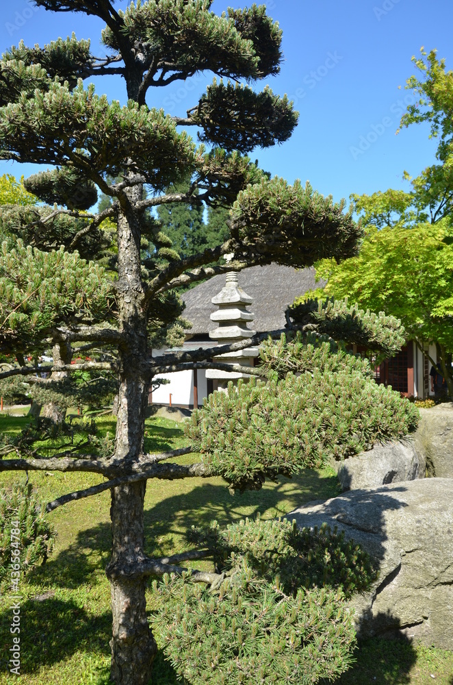 japanese tea house in Planten un Blomen