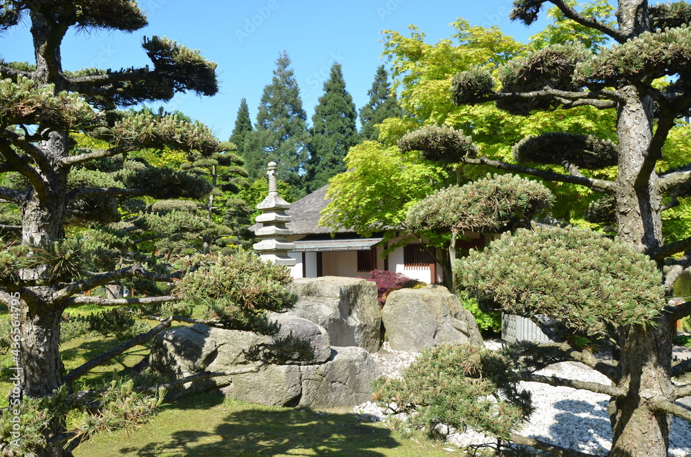 japanese tea house in Planten un Blomen