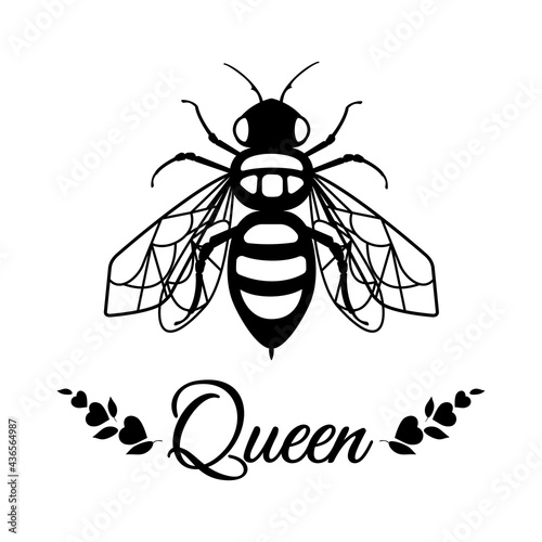 Honey bee isolated on white background. Vector illustration depicting an insect. For the Day of Protection of Bees. Save the bees. Suitable for cutting SVG files on plotter. Bumblebee for shirt design