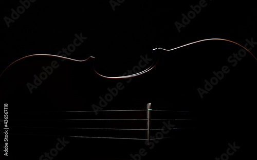 Foto Close up or macro photography of a violin silhouette in low key light, abstract