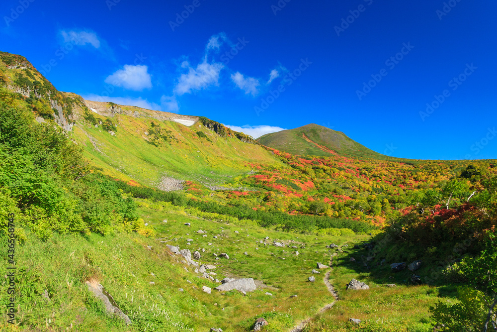 大雪山国立公園高原温泉沼めぐりコースの紅葉