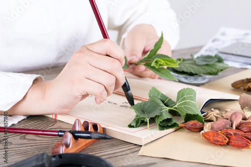 Chinese Medicine Research photo