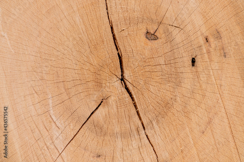 Round cut wood with details