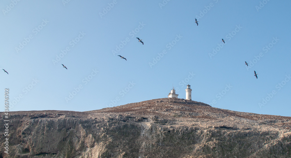 Flock of Pelicans flying over Anacapa Island Lighthouse in the Channel Islands National Park offshore from the Ventura Oxnard area of southern California USA Flock of Pelicans flying over Anacapa Island Lighthouse in the Channel Islands National Park offshore from the Ventura Oxnard area of southern California USA