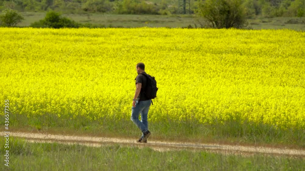 Young person with cap walking on the gravel road near the yellow flowering rapeseed field. Young person with cap walking on the gravel road near the yellow flowering rapeseed field.