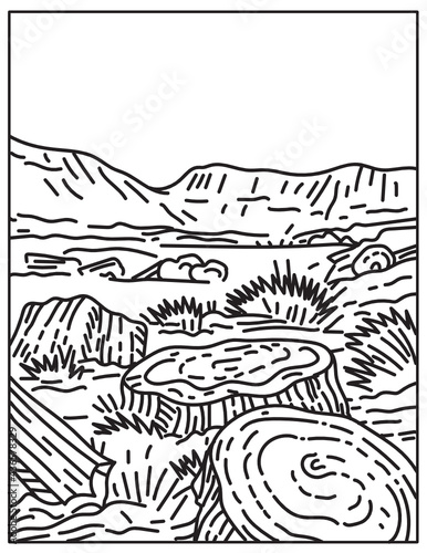 Mono line illustration of the Petrified Forest National Park in Navajo and Apache counties in northeastern Arizona, United States done in retro black and white monoline line art style.