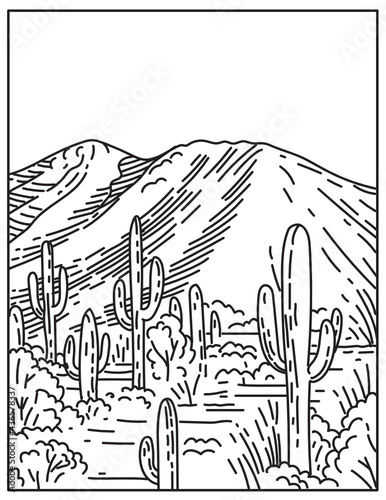 Mono line illustration of the Wasson Peak at the Tucson Mountain District in Saguaro National Park located in Arizona, United States done in retro black and white monoline line art style.