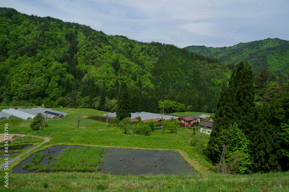 新緑が美しい飛騨の山村