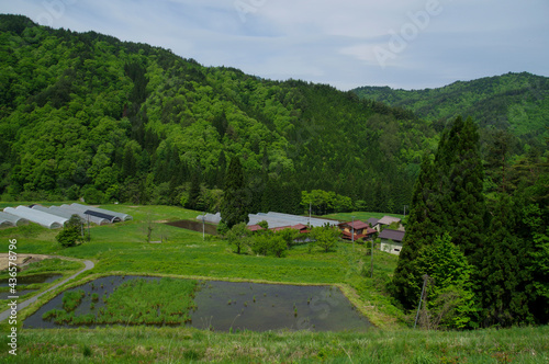 新緑が美しい飛騨の山村