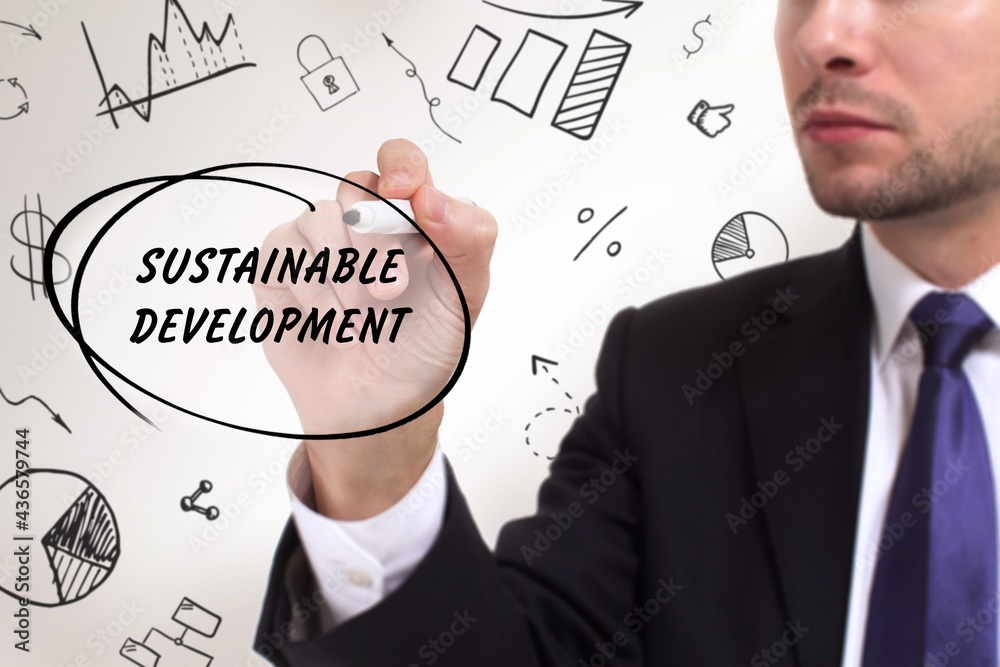 Business, technology, internet and network concept. Young businessman thinks over the steps for successful growth: Sustainable development