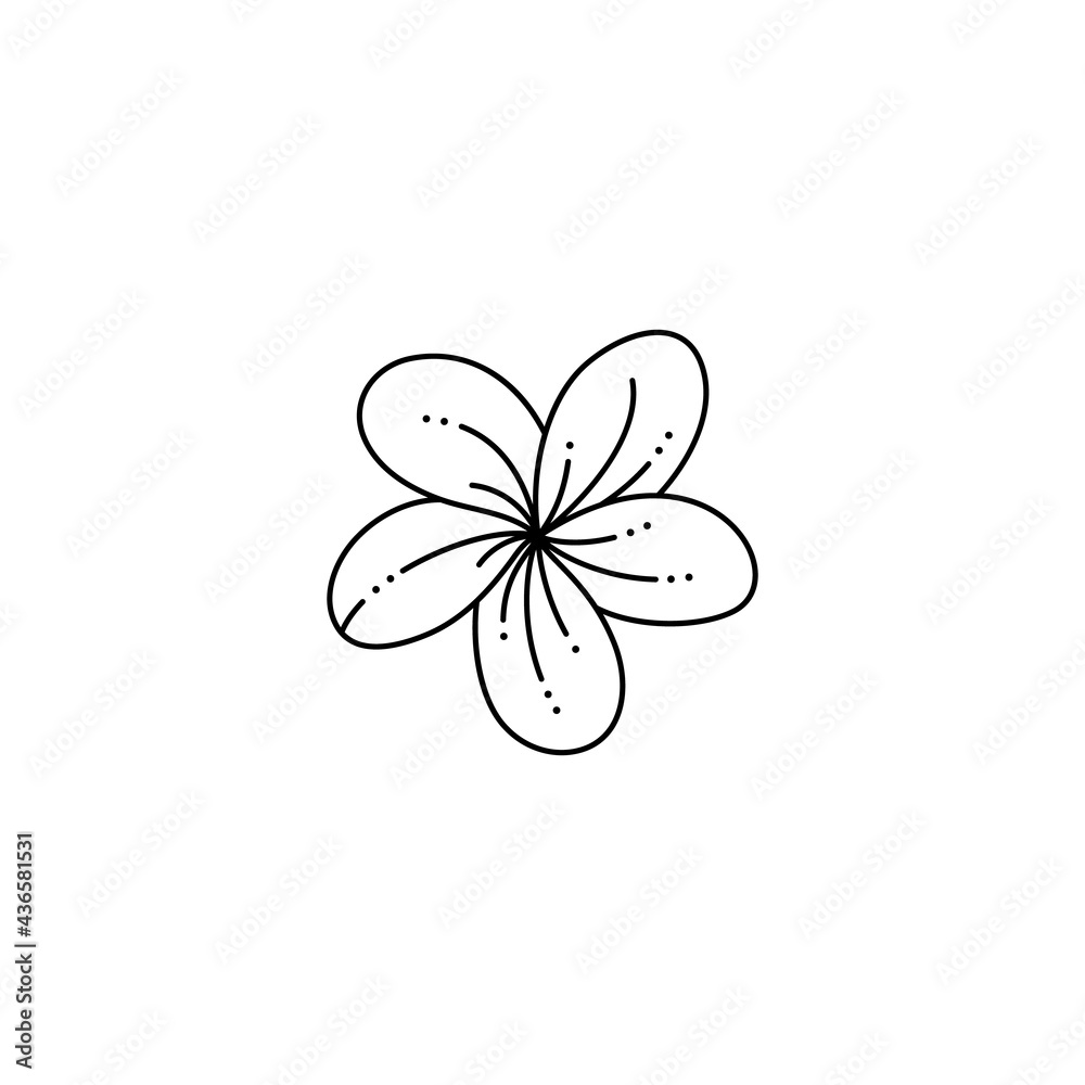 Frangipani Flower in a Trendy Minimalist Liner Style. Vector Tropical Plumeria Flower Illustration Frangipani Flower in a Trendy Minimalist Liner Style. Vector Tropical Plumeria Flower Illustration