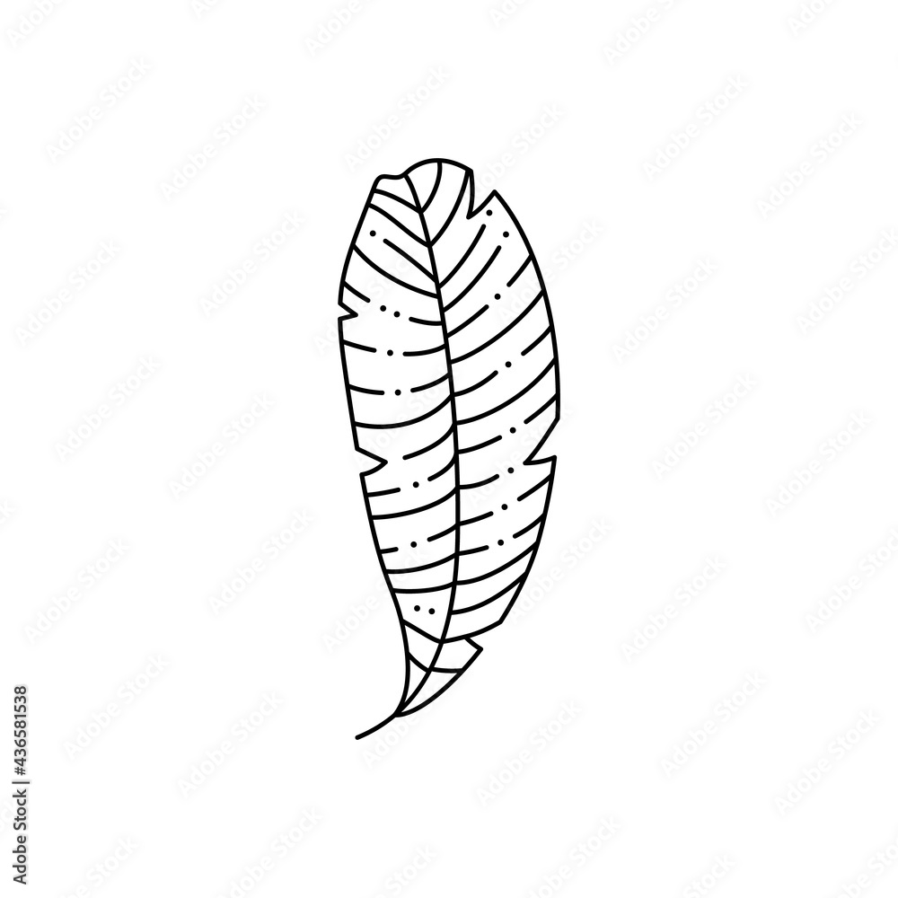 Tropical Palm leaf in a Trendy Minimalist Liner Style. Vector Illustration Tropical Palm leaf in a Trendy Minimalist Liner Style. Vector Illustration