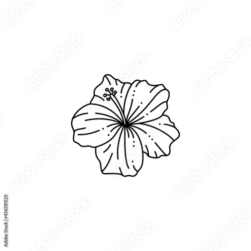 Hibiscus Flower in a Trendy Minimalist Liner Style. Vector Floral Illustration