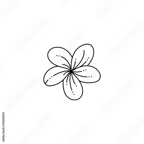 Frangipani Flower in a Trendy Minimalist Liner Style. Vector Tropical Plumeria Flower Illustration