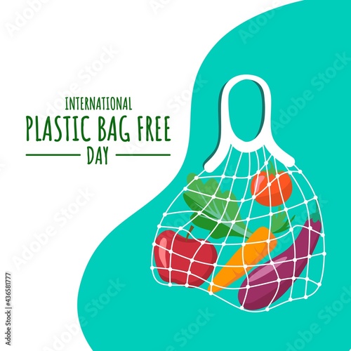 Eco concept, fruit and vegetables in a mesh bag, as a banner, poster or template, International Plastic Bag Free Day, vector illustration.