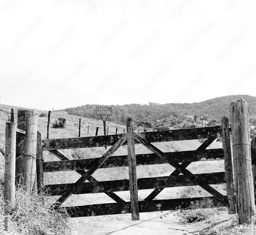 Fototapeta premium wooden fence