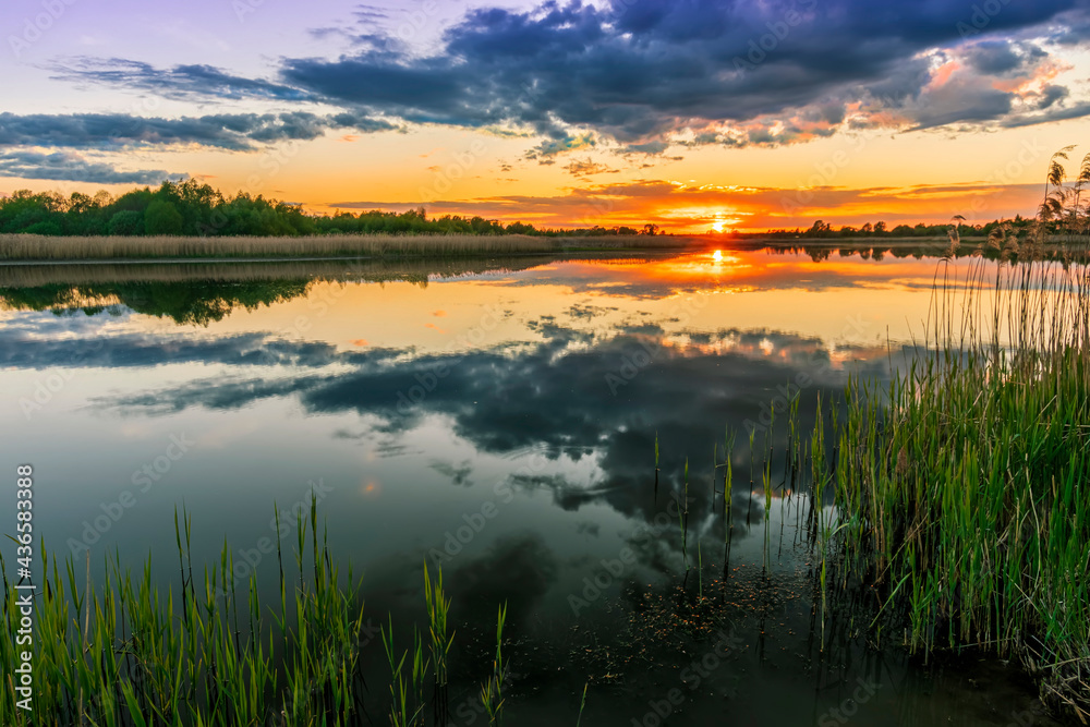 Scenic view at beautiful spring sunset with reflection on a shiny lake with green reeds, grass, golden sun rays, calm water ,deep blue cloudy sky and glow on a background, spring evening landscape