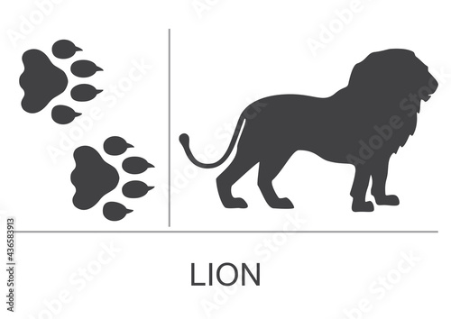 Lion silhouette and footprints. Vector illustration on a white background.