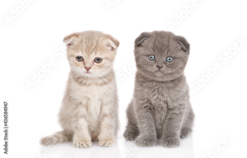 Two kittens sit together in front view and look at camera. isolated on white background