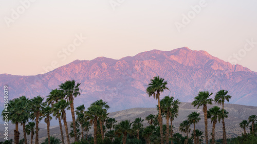 Palms and Mountain at Sunrise photo