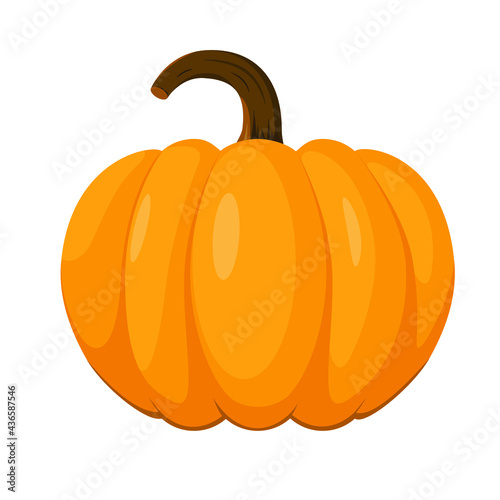 Bright beautiful pumpkin on a white background. Autumn vegetables.