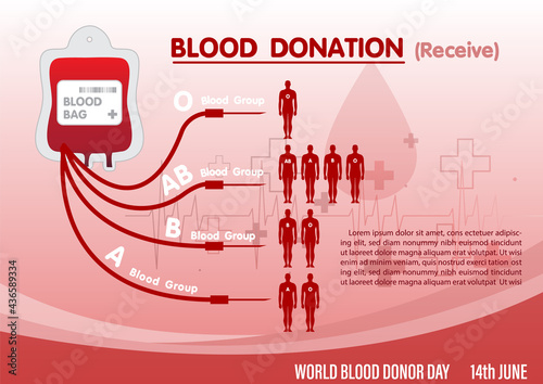 Infographic of blood donation with receiving to Human in various blood groups and example texts and red gradient background. Poster's infographic of World blood donor day campaign in vector design.