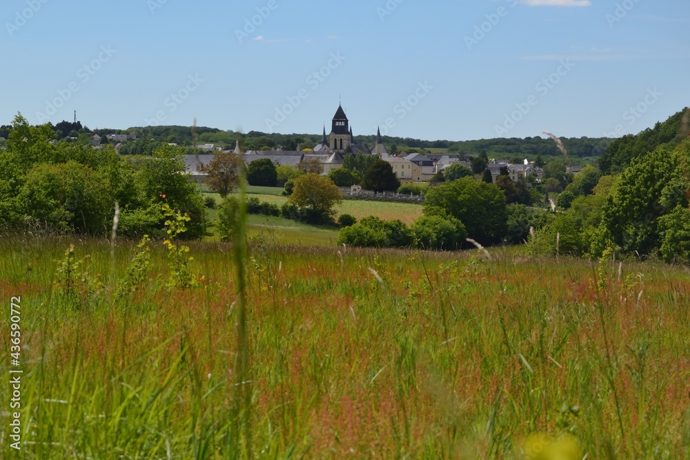Abbaye de Fontevraud, paysage de campagne