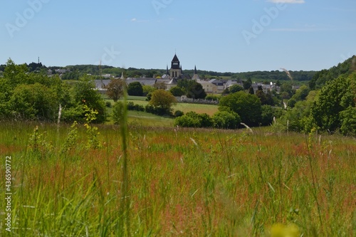 Abbaye de Fontevraud, paysage de campagne photo