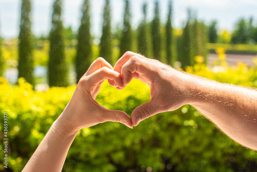 female and male hands in the shape of a heart, against the background of trees and a summer park. symbol of love, trust