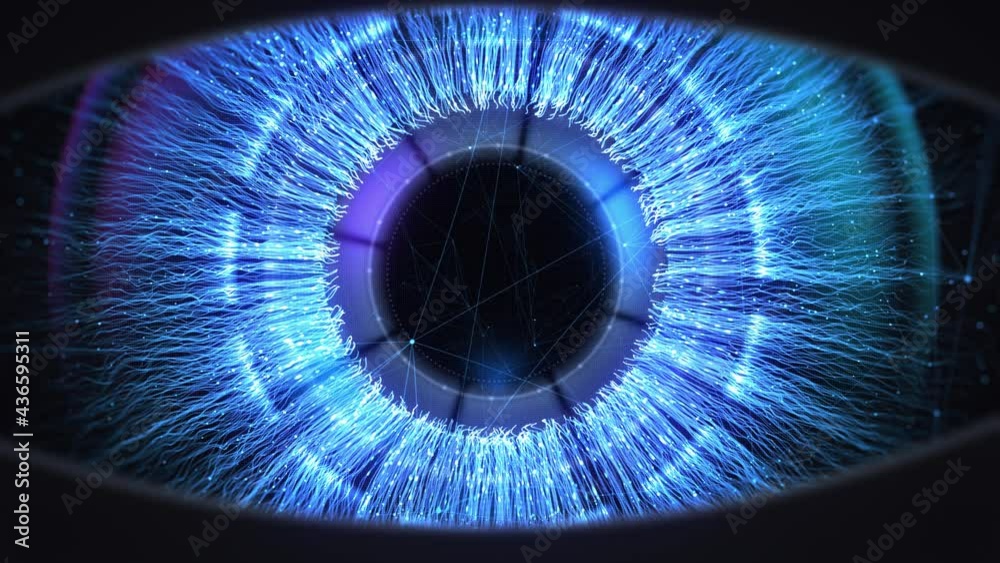 Flight through the eyes with plexus