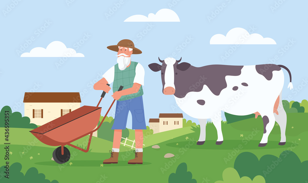 Elderly farmer working at farm field, agriculture work vector illustration. Cartoon senior agrarian rancher in hat holding wheelbarrow, aged man character farming, cow grazing on village grass Elderly farmer working at farm field, agriculture work vector illustration. Cartoon senior agrarian rancher in hat holding wheelbarrow, aged man character farming, cow grazing on village grass
