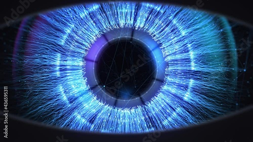 Flight through the eyes with plexus