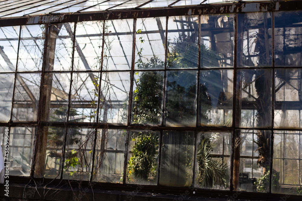 big windows in the workshop hall factory big windows in the workshop hall factory