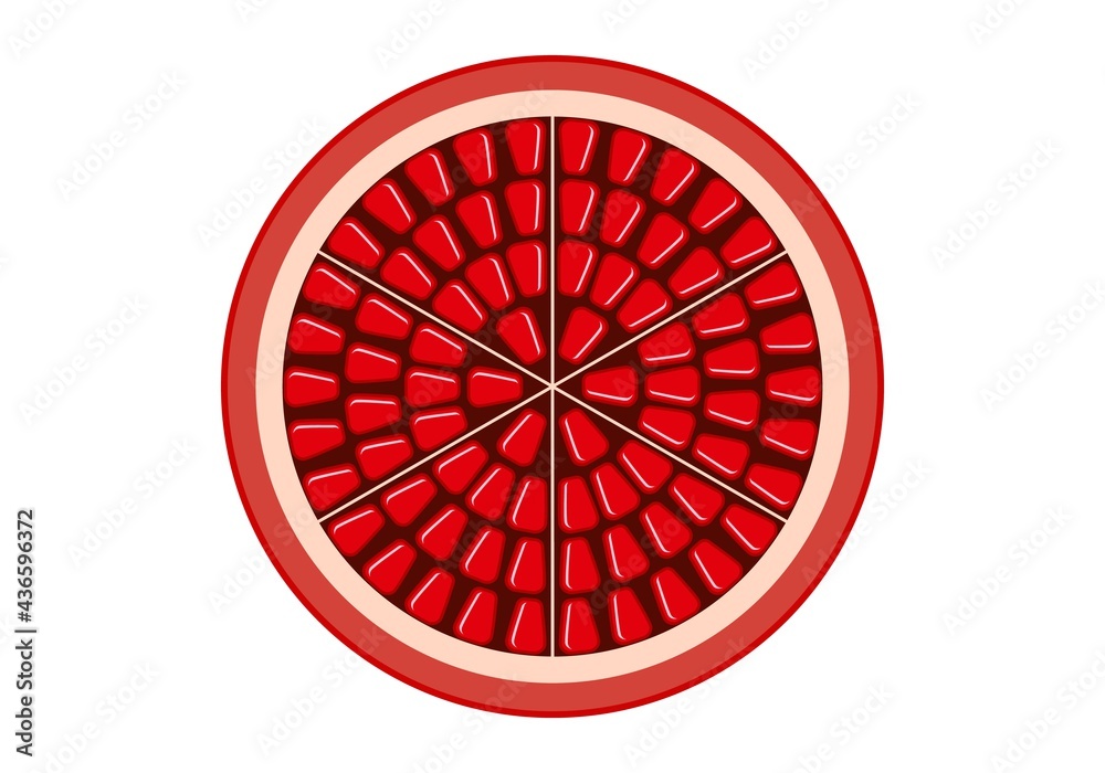 Pomegranate. Vector graphics on a white background. Pomegranate. Vector graphics on a white background.