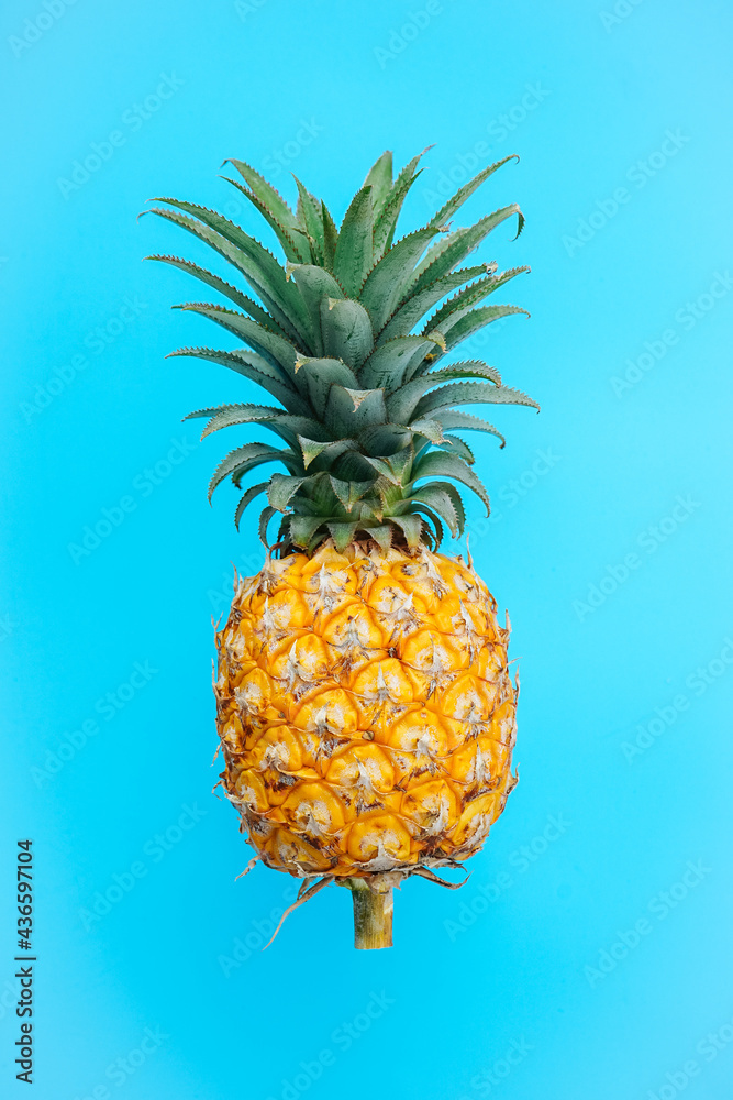 Fresh Pineapple on blue background Fresh Pineapple on blue background