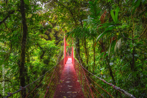Red suspension bridge in Monteverde Cloud Forest  Costa Rica