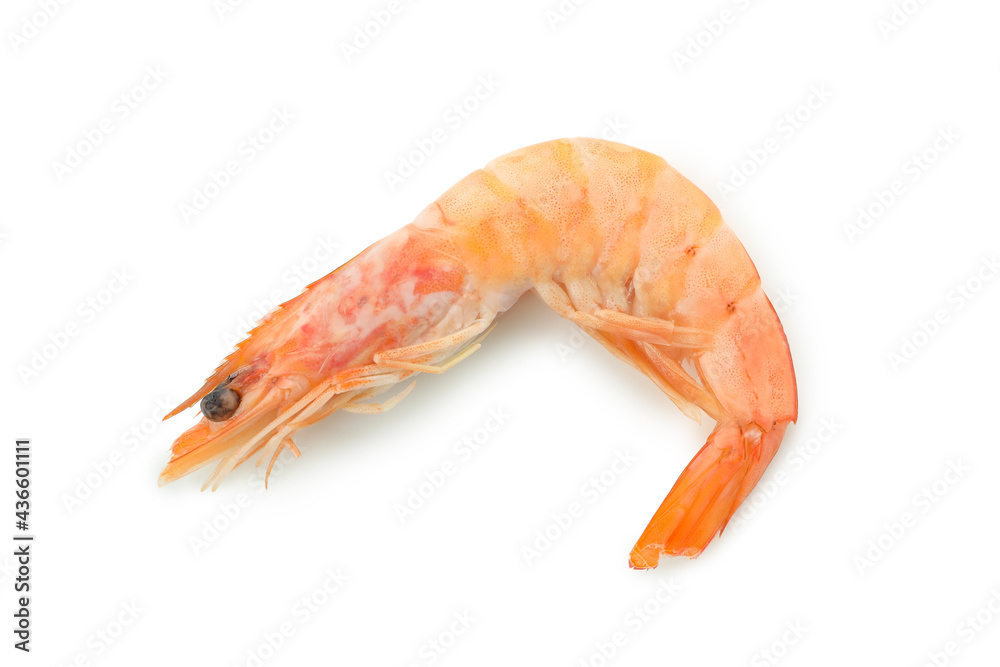 Tasty cooked shrimp isolated on white background Tasty cooked shrimp isolated on white background