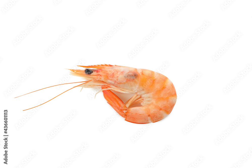 Tasty cooked shrimp isolated on white background Tasty cooked shrimp isolated on white background