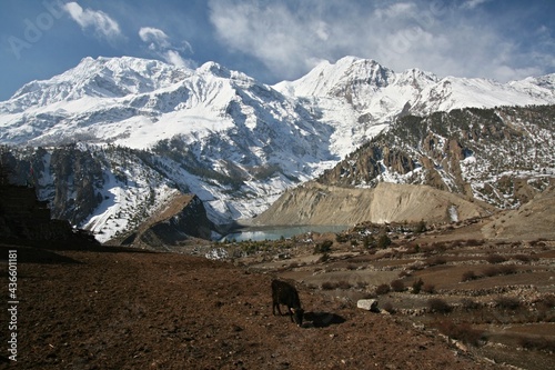 View of Annapurna Himalaya Range from Gunsang Village. Nepal. Asia.