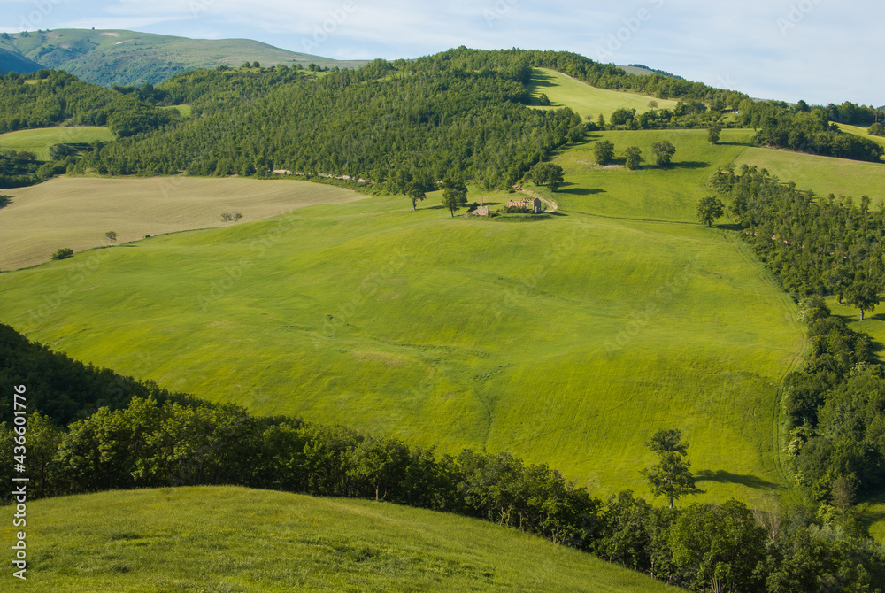 Beautiful and panoramic view of green hill in the marche region, national park of Monti Sibillini, Italy