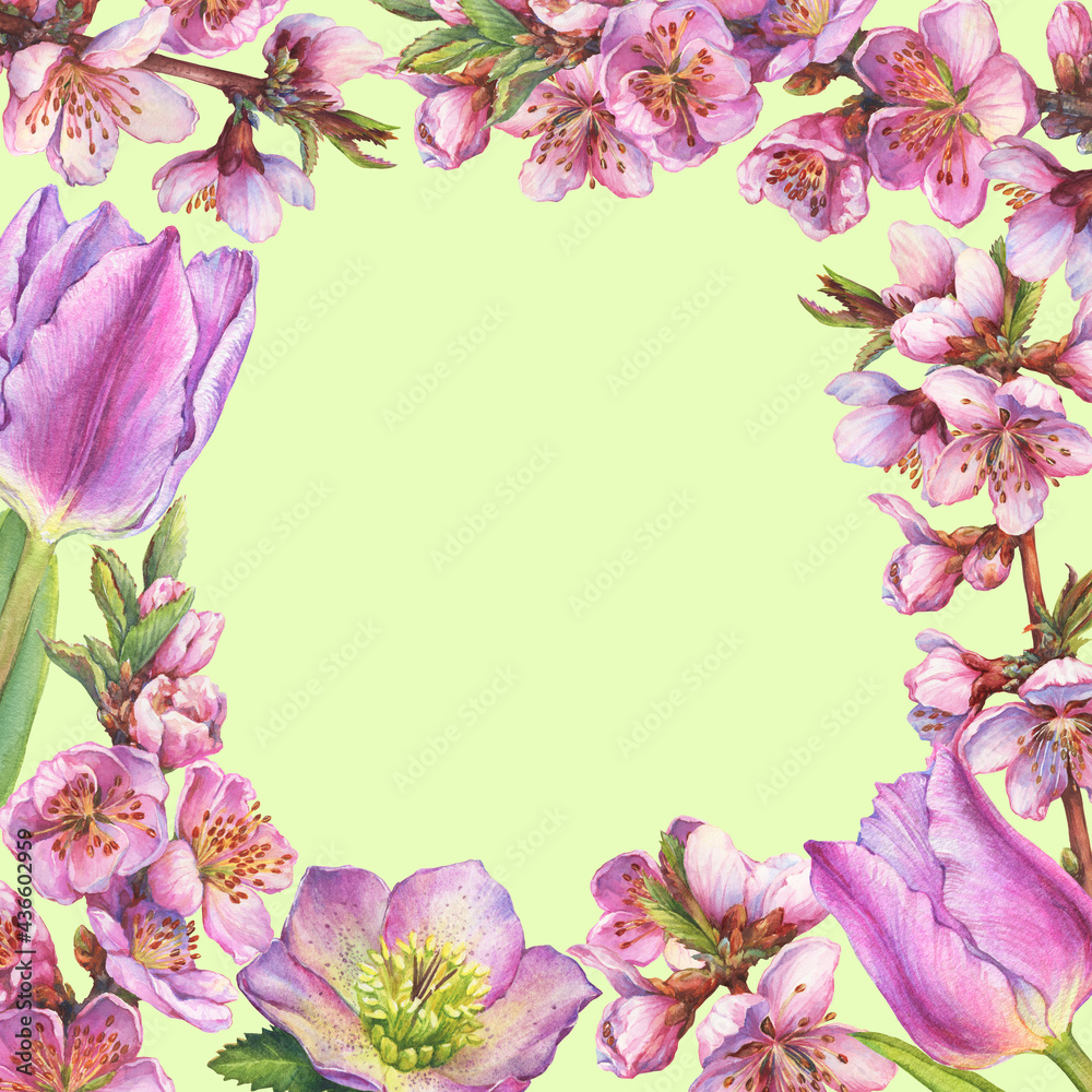Floral square frame with pink sakura flower, hellebore, tulip for decoration, greeting card, invitation. Watercolor hand drawn painting illustration isolated on a green background.