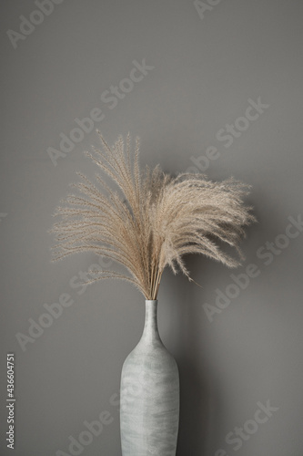 Tan reeds, pampas grass bouquet in clay pot on grey background. Minimal modern interior decoration concept. Floral composition on neutral grey background.