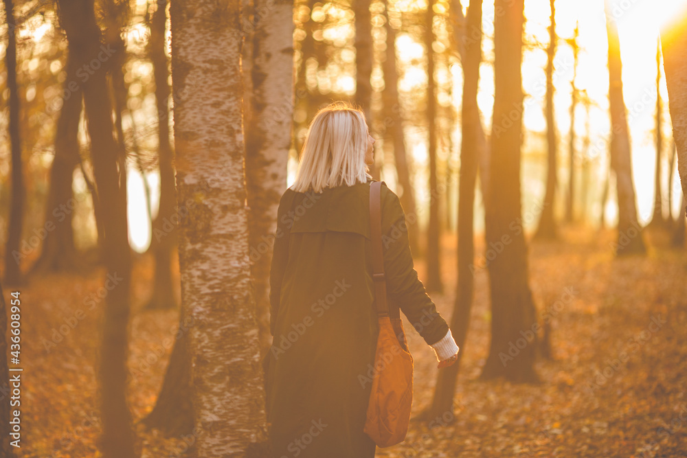 Caucasian blond woman walking away through fall woods. back medium shot, casual clothes,foliage leaves.Warm sunset light,sunshine and sun. Storytelling real young adult people alone in autumn forest