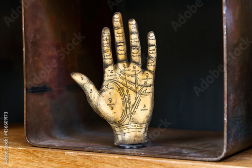 Vintage model of a Tarot or Palmistry hand showing the named lines photo