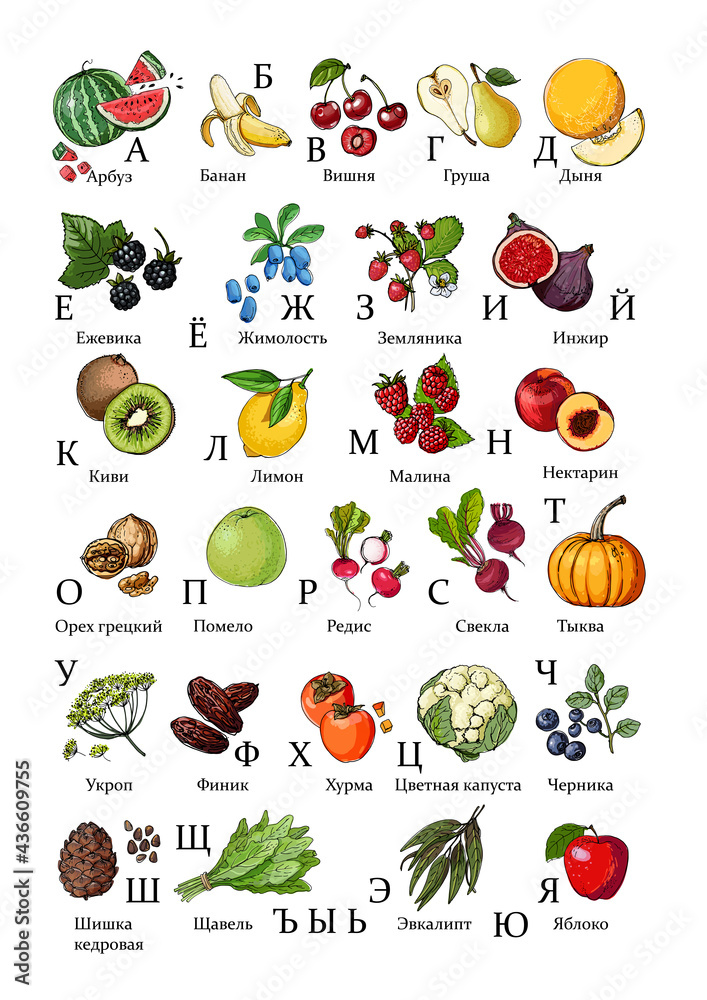 Russian alphabet from vegetables and fruits. Vector food icons. Colored sketch of food products. Russian alphabet from vegetables and fruits. Vector food icons. Colored sketch of food products.